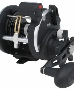 Penn Penn Rival LC Baitcasting Reel Reel model:20 LW LC LH